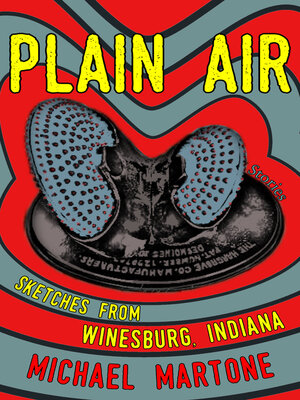 Plain Air - ebook